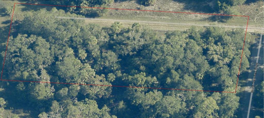 An aerial view shows a rectangular plot of land densely covered with trees and vegetation — 9999 N SNOWBALL POINT, CRYSTAL RIVER, FL