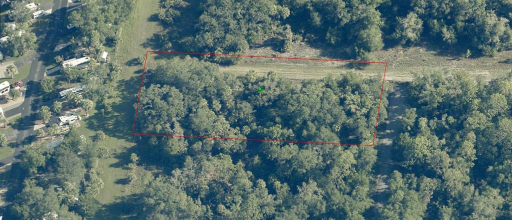 An aerial view shows a rectangular plot of land outlined in red amidst dense trees — 9999 N SNOWBALL POINT, CRYSTAL RIVER, FL