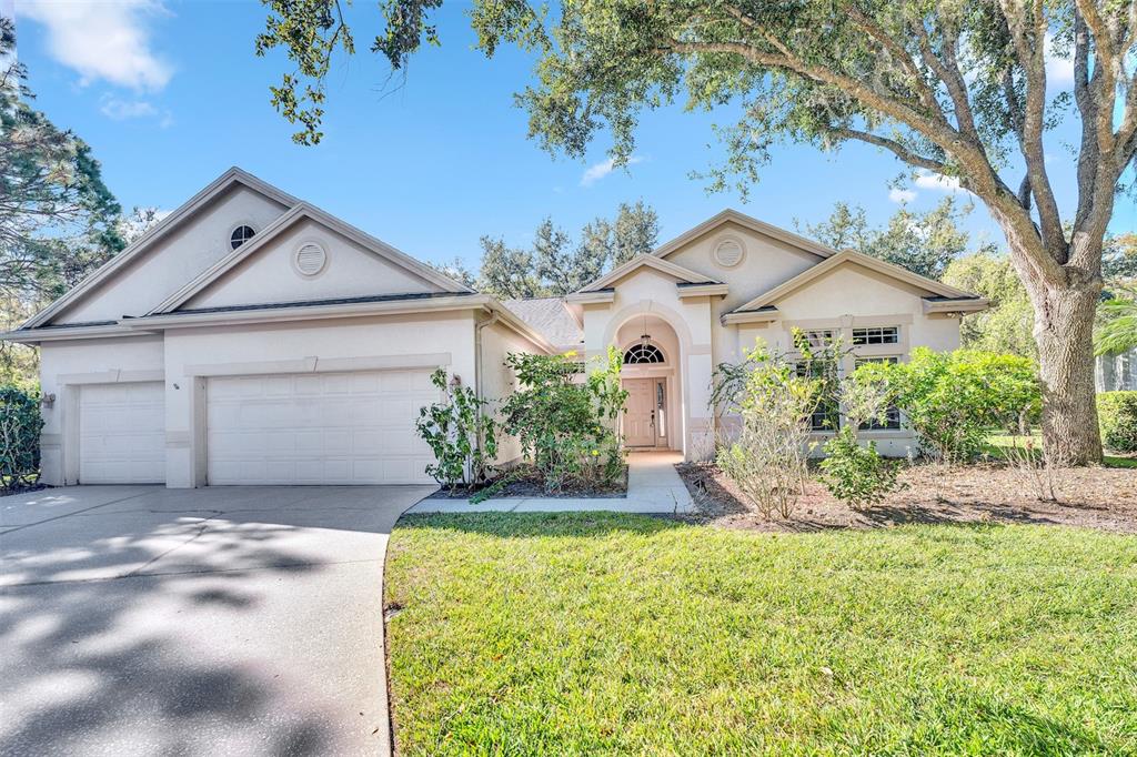 A single-story house with a beige stucco exterior, a three-car garage, and a front walkway — 10218 SHADOW BRANCH DRIVE, TAMPA, FL