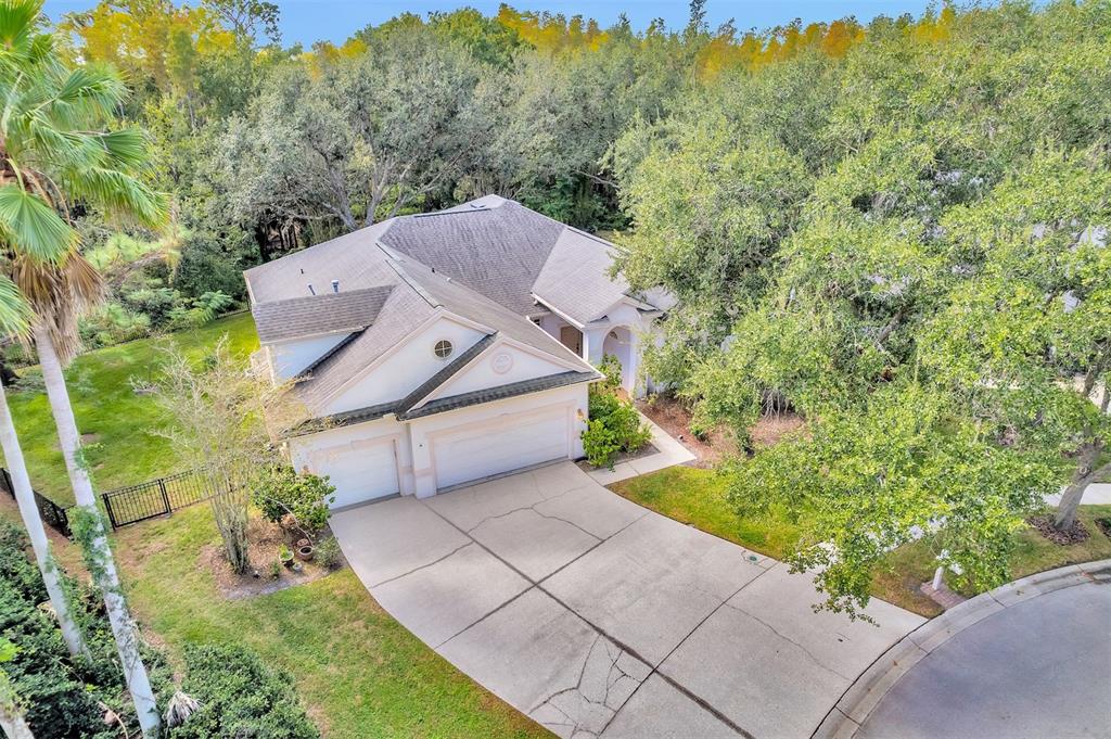 An aerial view of a single-story house with a three-car garage and a concrete driveway — 10218 SHADOW BRANCH DRIVE, TAMPA, FL