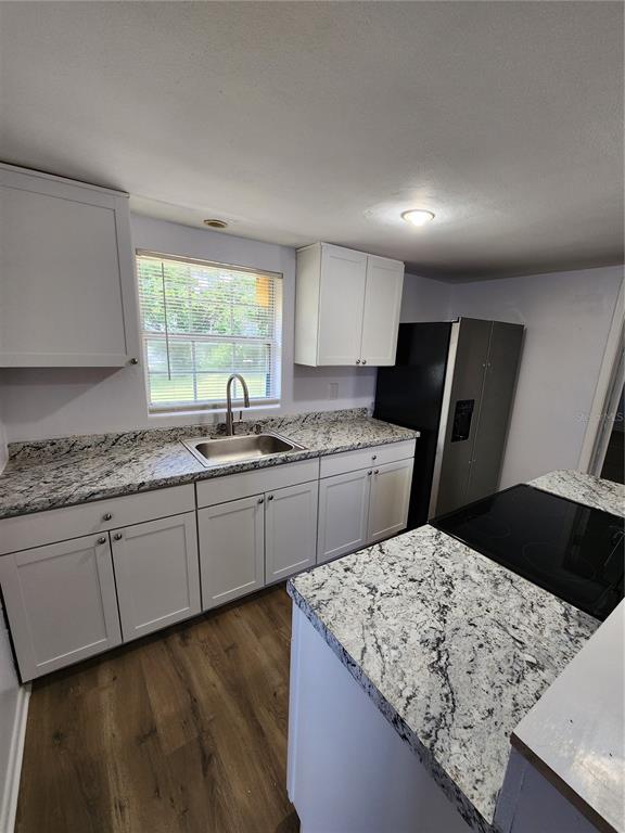 A kitchen features white cabinets, granite countertops, a stainless steel sink, and a black refrigerator — 3 E LEMON STREET, BEVERLY HILLS, FL