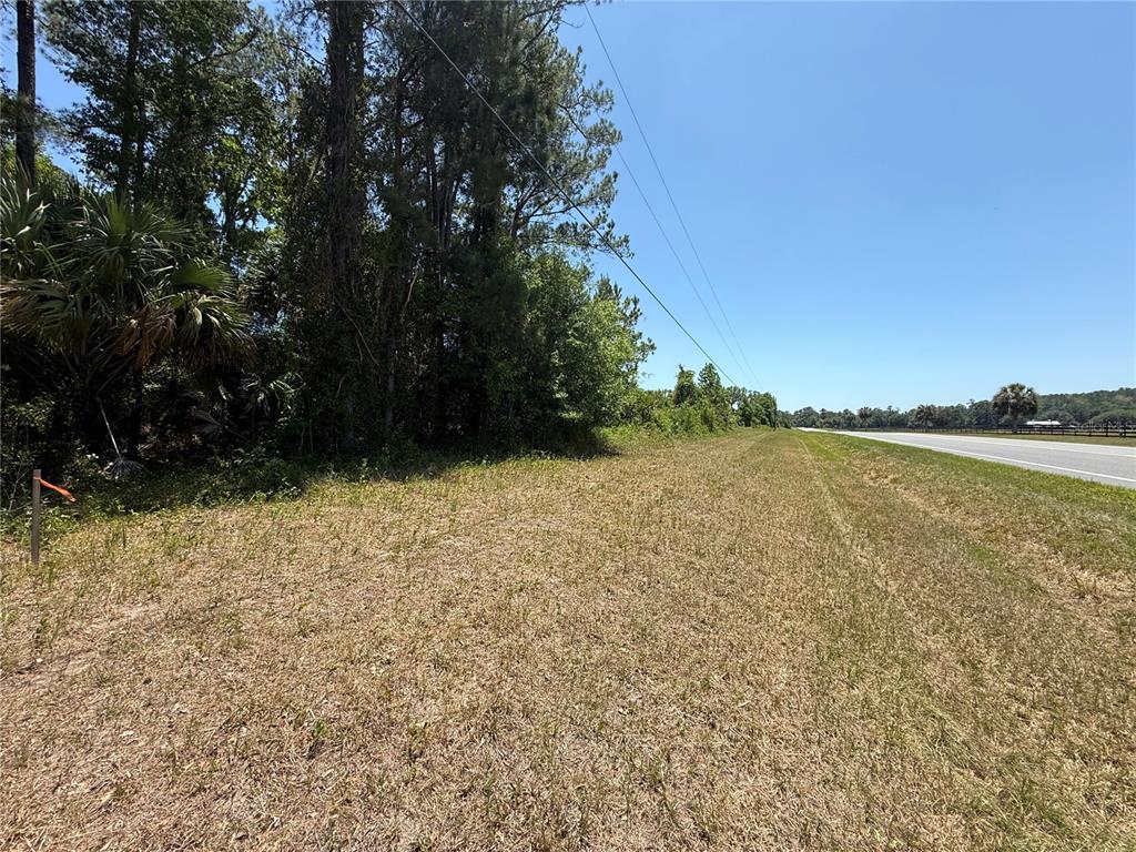 A grassy lot sits adjacent to a paved road with a line of trees nearby — 00 NW HWY 225, REDDICK, FL