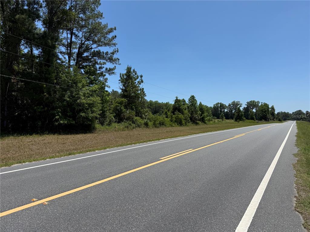 A paved road runs alongside a grassy area bordered by a line of trees — 00 NW HWY 225, REDDICK, FL