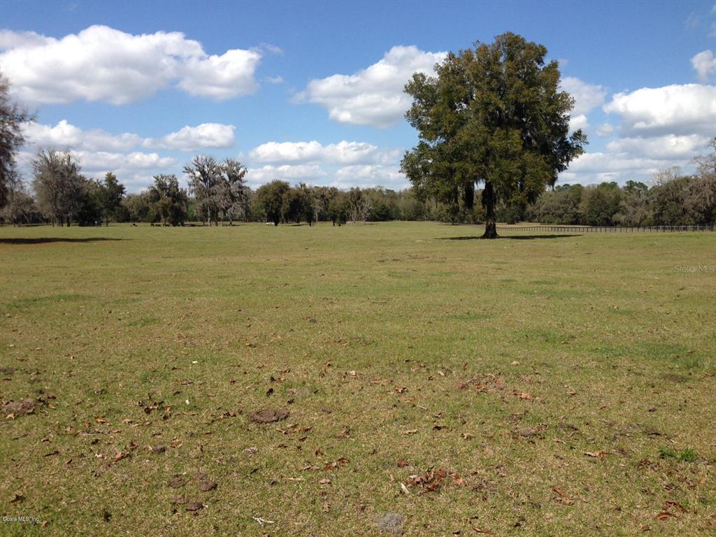 A large, grassy pasture features scattered trees under a blue sky with white clouds — 0 NW 95th STREET, OCALA, FL