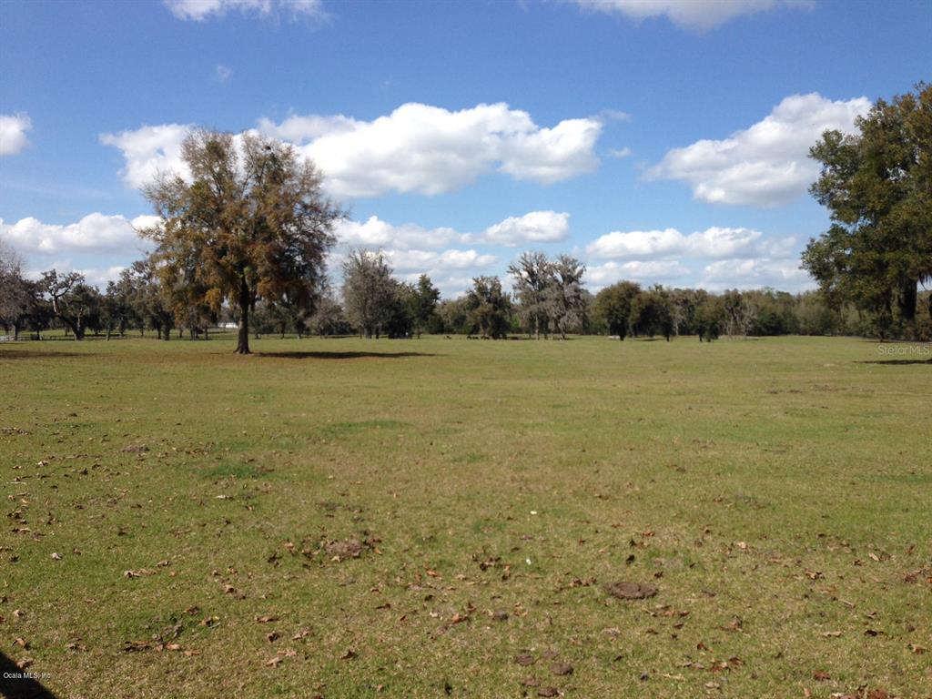 A wide, grassy field features scattered mature trees under a blue sky with white clouds — 0 NW 95th STREET, OCALA, FL