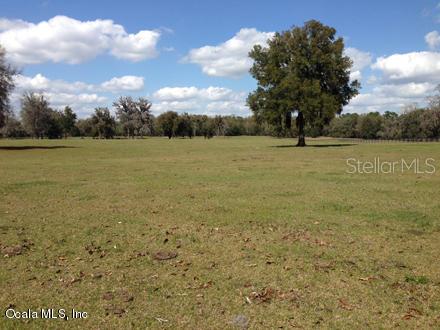 A large, open grassy field features scattered trees under a blue sky with white clouds — 0 NW 95th STREET, OCALA, FL