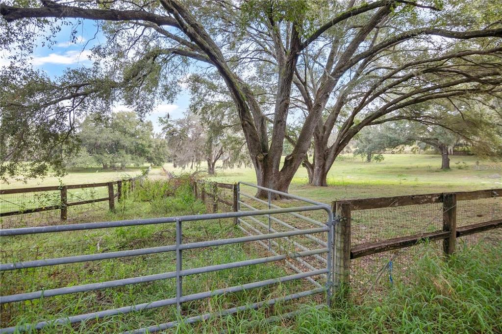 A metal gate opens to a grassy pasture shaded by large, mature oak trees — 0 LAKE ELLA RD ROAD, FRUITLAND PARK, FL