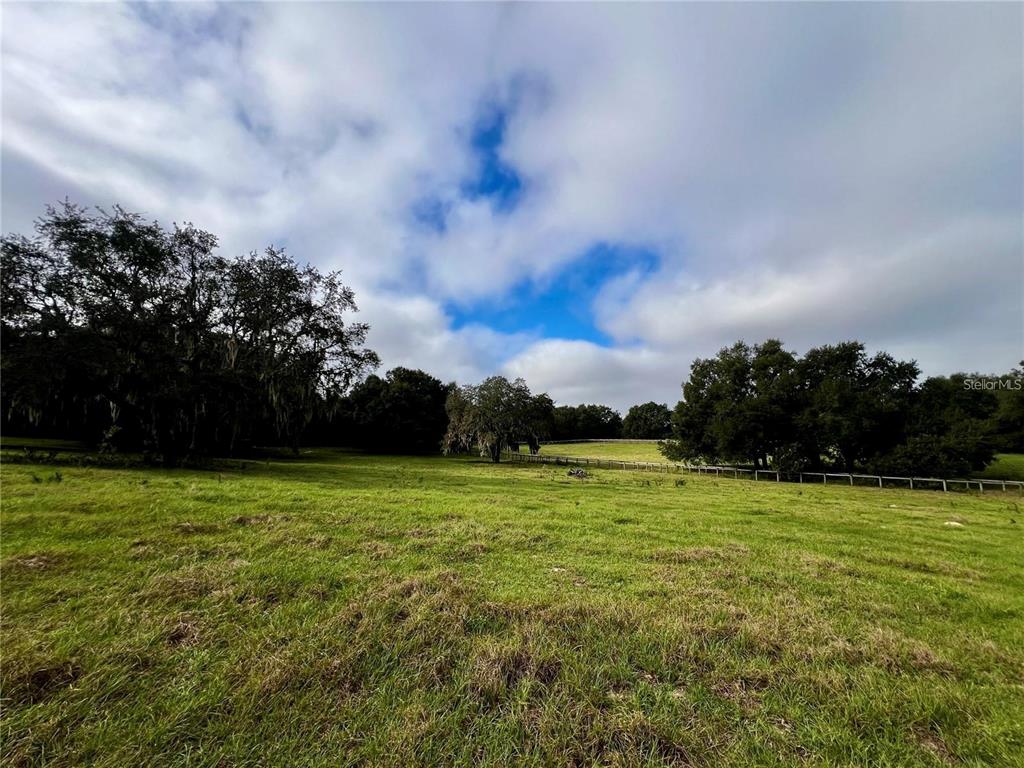 A grassy field with scattered trees under a cloudy blue sky — 0 LAKE ELLA RD ROAD, FRUITLAND PARK, FL