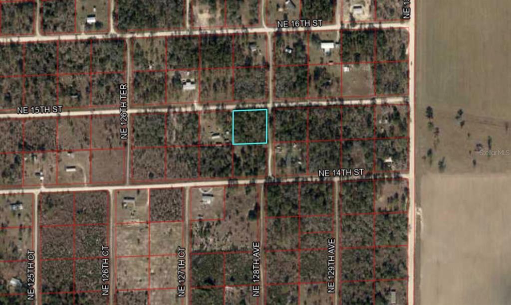 This is an aerial map showing a highlighted rectangular plot of land among other lots — TBD NE 15TH STREET, WILLISTON, FL