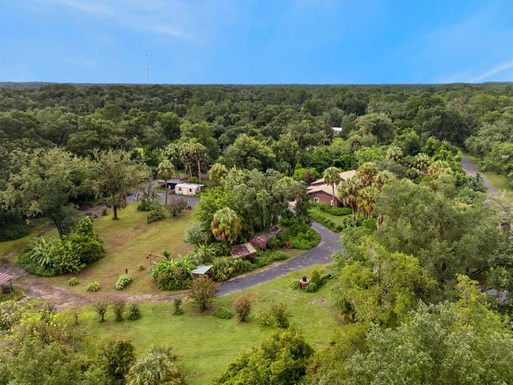 An aerial view shows a house surrounded by lush trees, a driveway, and grassy lawns — 11094 CR 683D, WEBSTER, FL