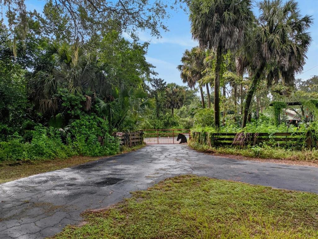 A paved driveway leads to a gated entrance surrounded by lush trees and vegetation — 11094 CR 683D, WEBSTER, FL
