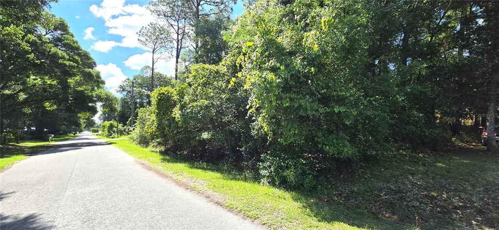 A paved road runs alongside a densely wooded, undeveloped residential lot under a blue sky — TBD Lot 11 NW 61ST LANE, OCALA, FL