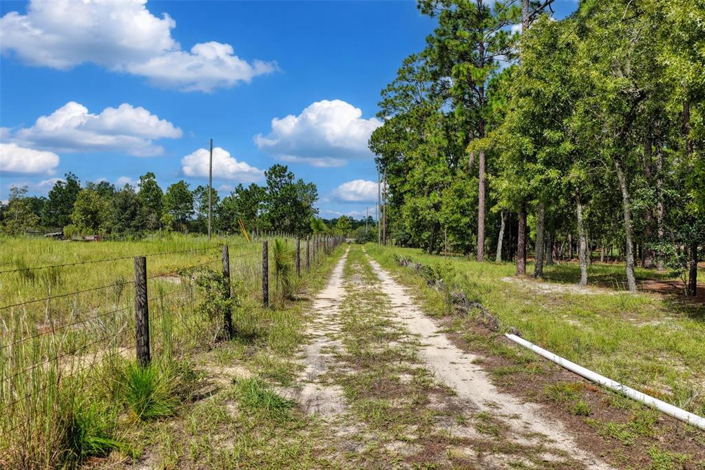 1411 SE STATE ROAD 121, MORRISTON, FL — photo 3 of 30