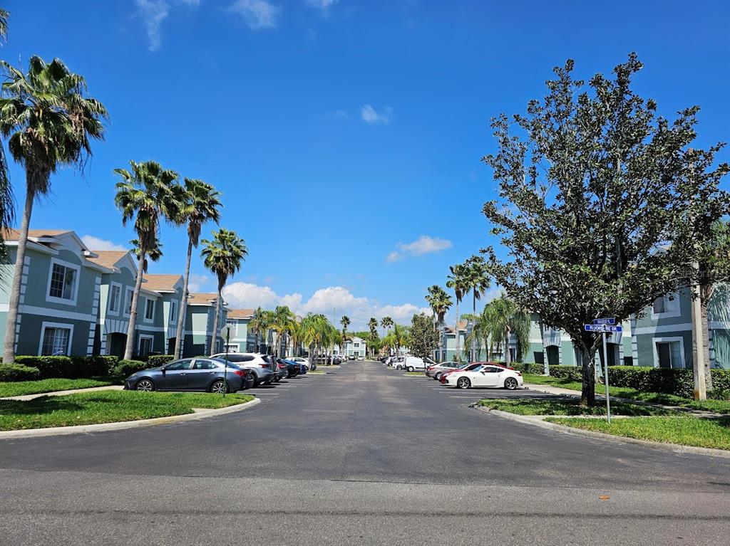 A street view of a residential complex with palm trees, parked cars, and green buildings — 2053 FLUORSHIRE DRIVE, BRANDON, FL