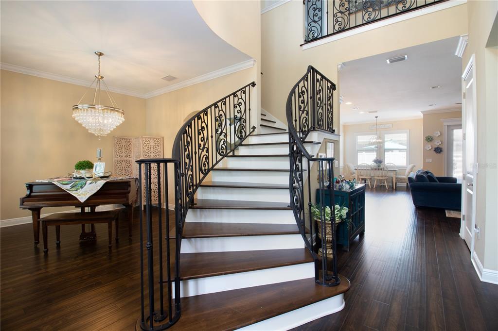 A grand foyer features a curved staircase with wrought iron railings and dark wood flooring — 3917 W SAN LUIS STREET, TAMPA, FL