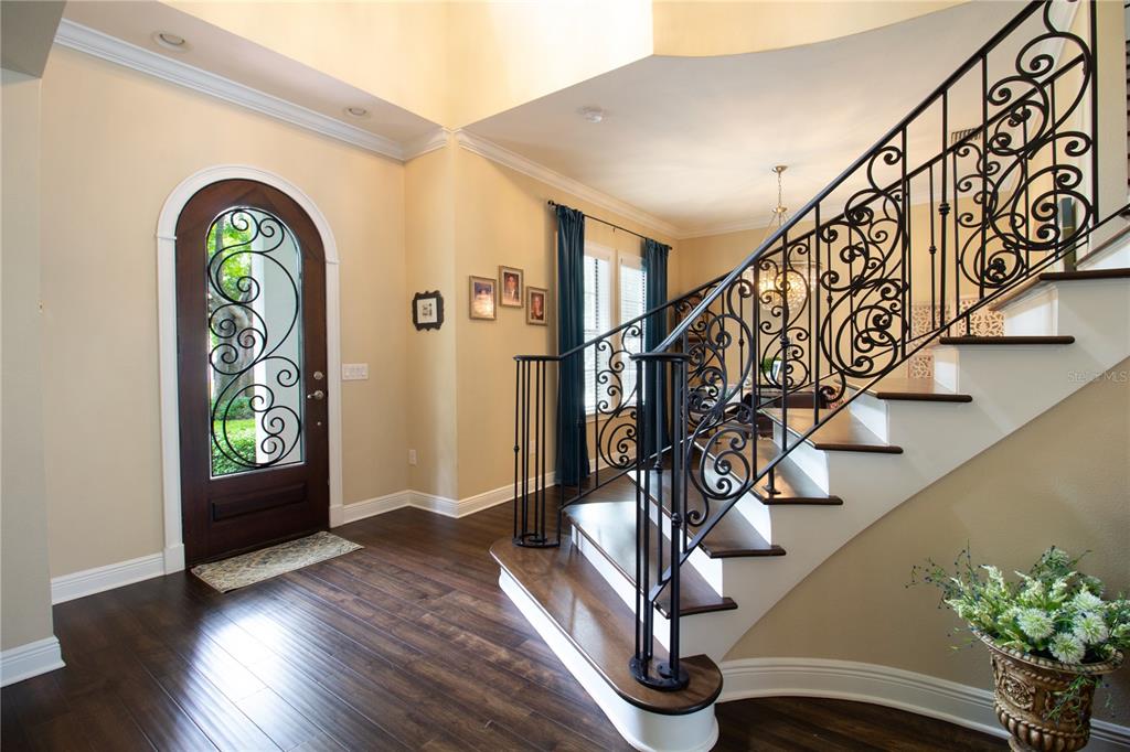 An entryway features dark wood flooring, a decorative glass front door, and a curved staircase — 3917 W SAN LUIS STREET, TAMPA, FL