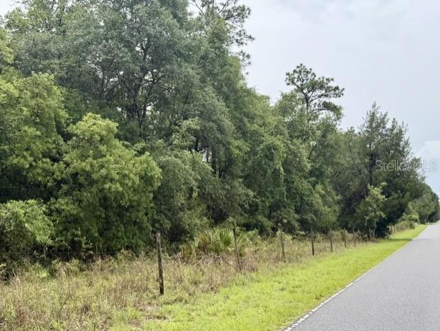 A paved road runs alongside a grassy area bordered by a wire fence and dense trees — 4890 NW 55TH AVENUE, BELL, FL