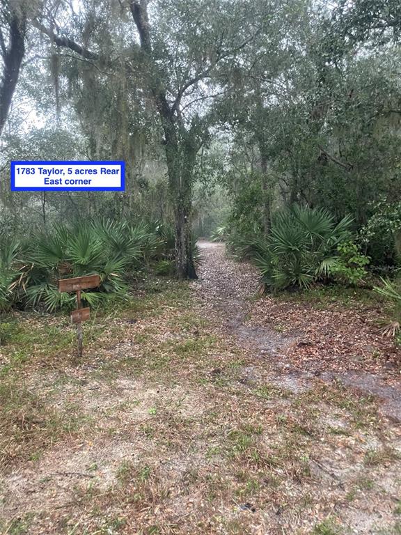1783 TAYLOR ROAD, PORT ORANGE, FL — photo 5 of 18