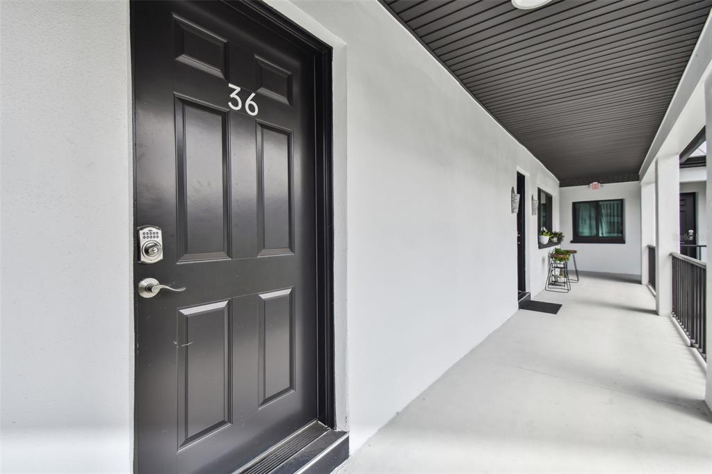 A black front door labeled 36 opens onto a covered outdoor walkway with white walls — 2942 W BAY DRIVE UNIT 36, BELLEAIR BLUFFS, FL