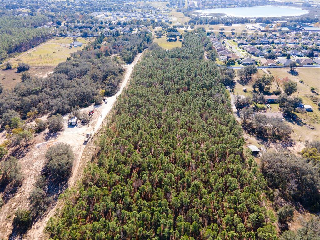 An aerial view shows a dense forest bordering a dirt road and residential neighborhoods — LOST LAKE ROAD, CLERMONT, FL