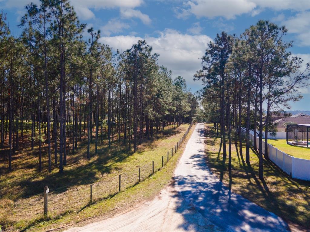 A dirt road runs between a wooded area and a fenced residential property — LOST LAKE ROAD, CLERMONT, FL