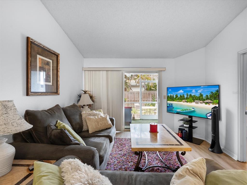 A living room features a dark sofa, a coffee table, and a television facing a patio — 2538 W BROOK LANE, CLEARWATER, FL