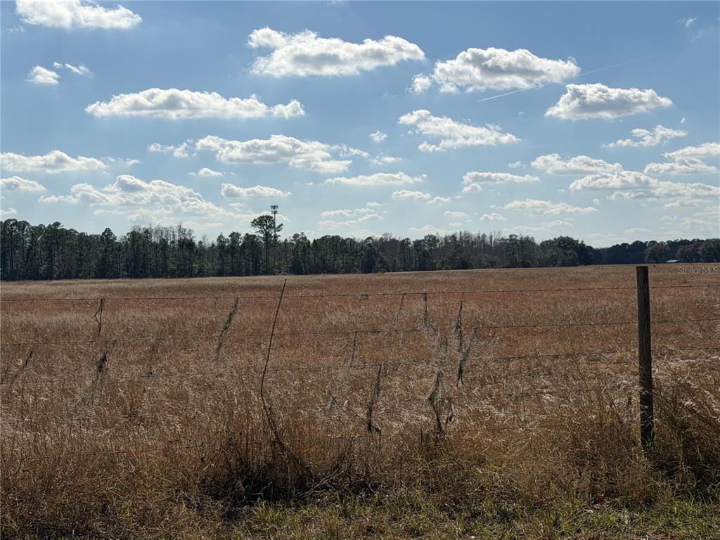 A wide, grassy field is enclosed by a wire fence under a cloudy blue sky — LAKE ERIE, GROVELAND, FL