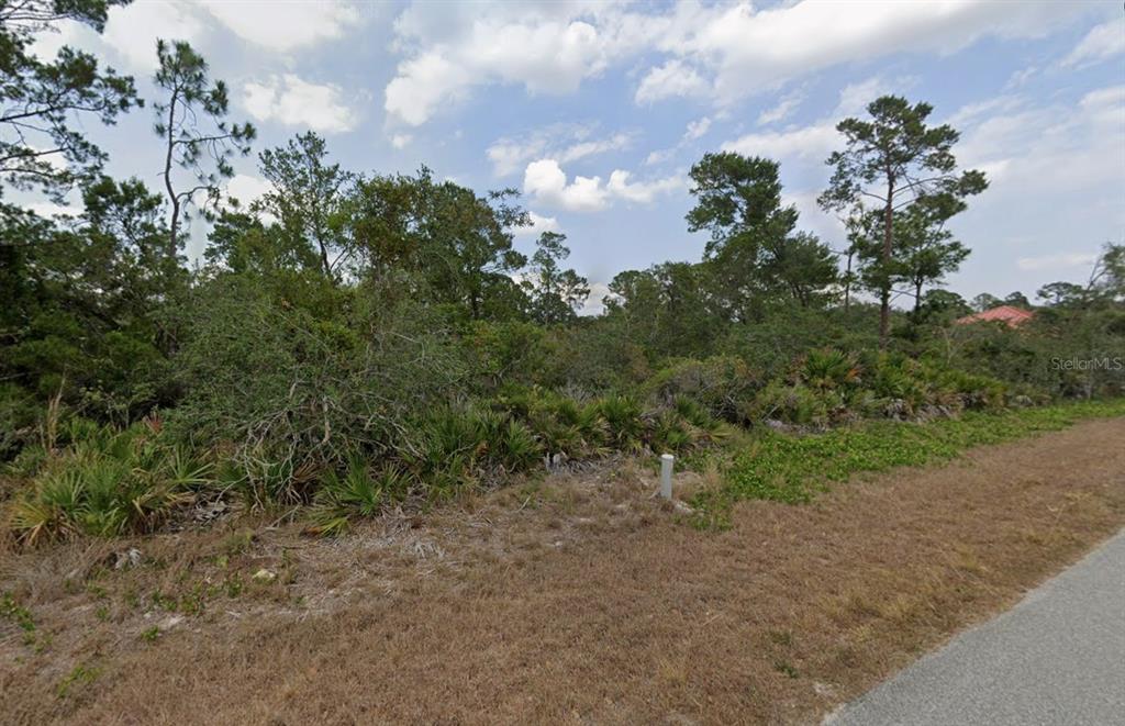 A vacant, wooded lot with native vegetation sits beside a paved road — 4512 SHAMROCK STREET, SEBRING, FL