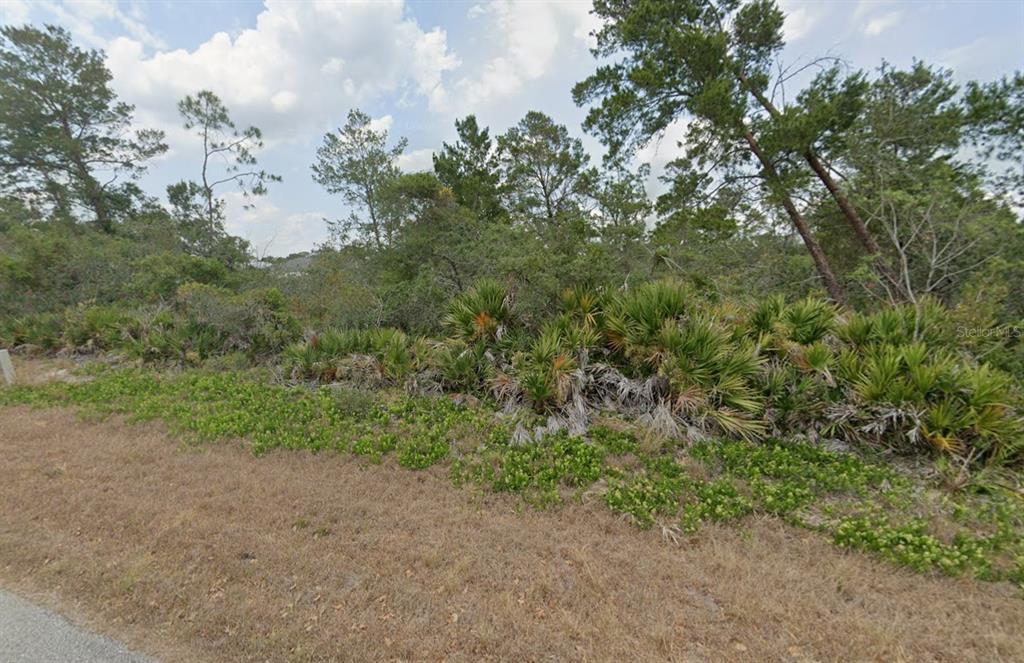 A view of a vacant, wooded lot covered in native Florida vegetation and pine trees — 4512 SHAMROCK STREET, SEBRING, FL