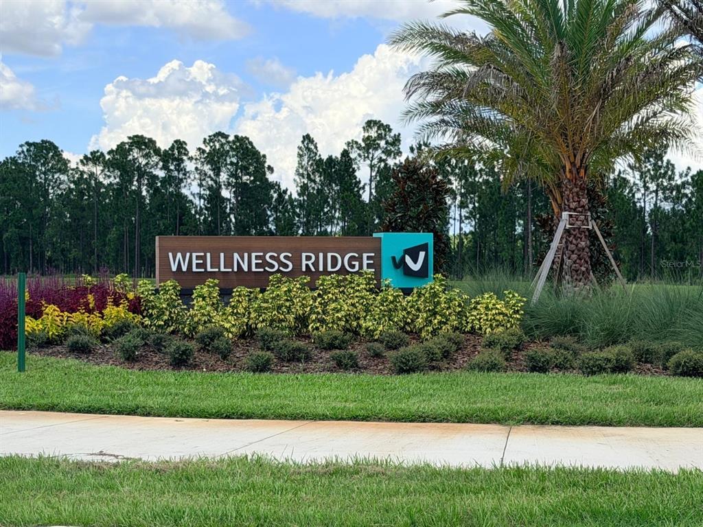 A sign for Wellness Ridge stands in a landscaped area with a palm tree — 6048 ZEN WAY, CLERMONT, FL