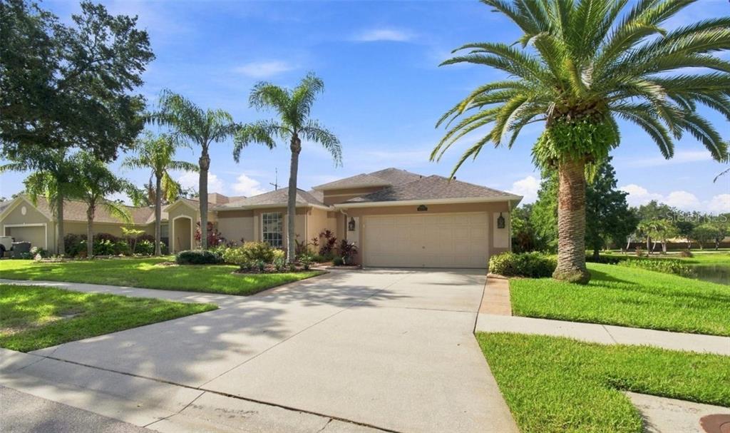 A single-story house with a two-car garage, palm trees, and a concrete driveway — 10113 CANNON DRIVE, RIVERVIEW, FL
