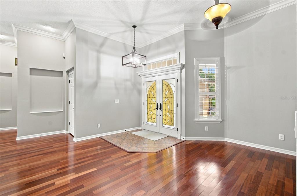 An entryway features hardwood floors, a tiled landing, double front doors, and a hanging light fixture — 10113 CANNON DRIVE, RIVERVIEW, FL