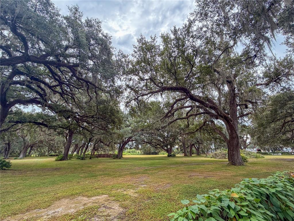 2531 CR 546A, BUSHNELL, FL — photo 5 of 30