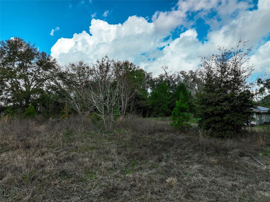 A grassy, overgrown lot features scattered trees and shrubs under a bright, cloudy sky — 106 NW FAT CAT COURT, LAKE CITY, FL