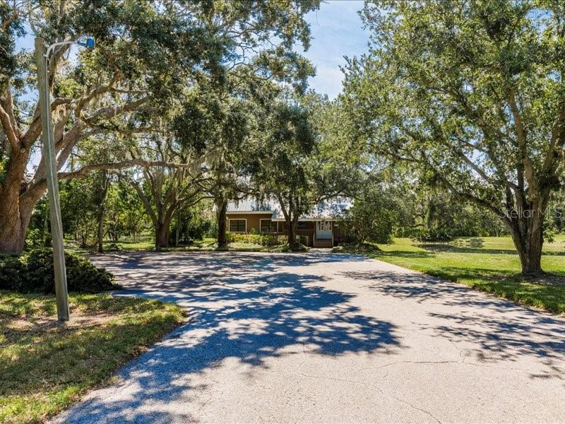A paved driveway leads to a house surrounded by large trees under a blue sky — 13075 SR-64 E, BRADENTON, FL