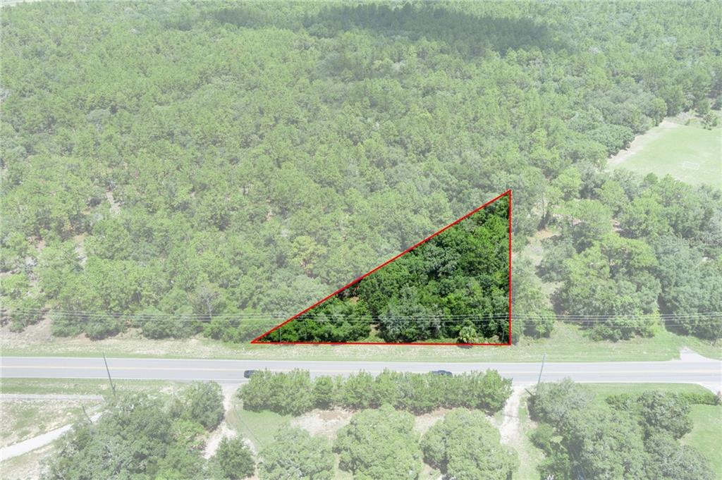 4479 W Homosassa TRAIL, LECANTO, FL — photo 2 of 17