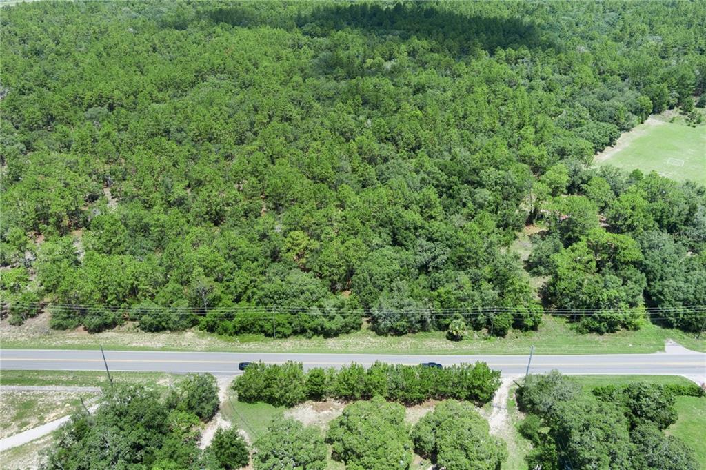 4479 W Homosassa TRAIL, LECANTO, FL — photo 3 of 17