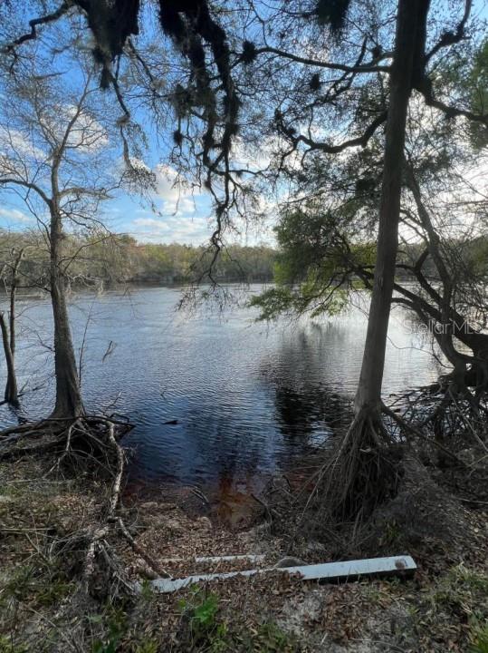 A view of a dark river framed by cypress trees from a sandy bank — 1263 NW 82ND TERRACE, BELL, FL