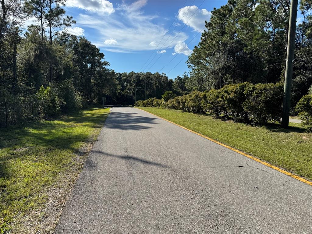 12434 S CANNA POINT, FLORAL CITY, FL — photo 3 of 7