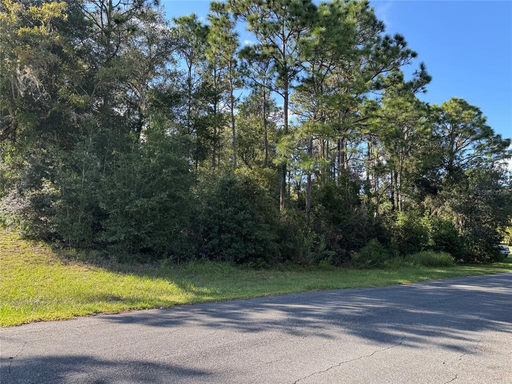 12434 S CANNA POINT, FLORAL CITY, FL — photo 5 of 7