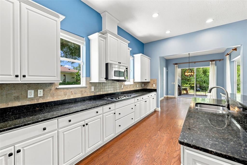 A kitchen features white cabinets, dark granite countertops, a tile backsplash, and blue walls — 21201 SKY VISTA DRIVE, LAND O LAKES, FL