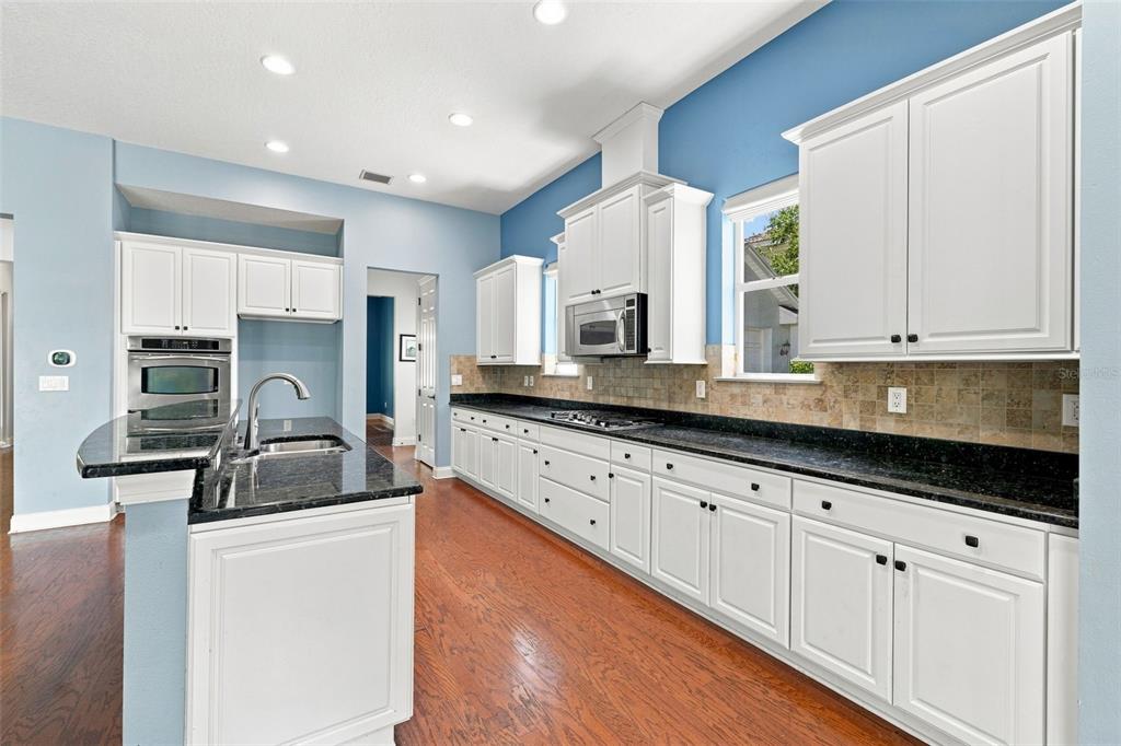 A kitchen with white cabinets, dark granite countertops, stainless steel appliances, and light blue walls — 21201 SKY VISTA DRIVE, LAND O LAKES, FL
