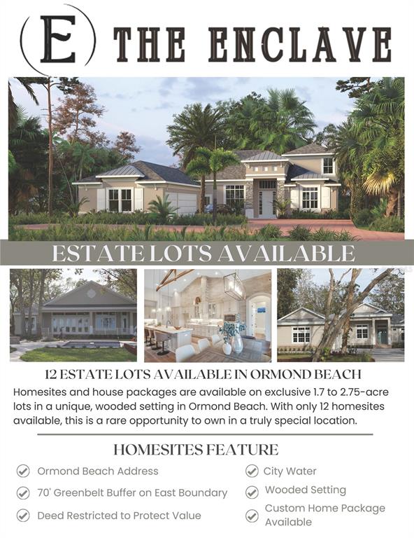This is a real estate rendering showing a single-family home with a landscaped exterior — 471 N TYMBER CREEK, ORMOND BEACH, FLORIDA, FL