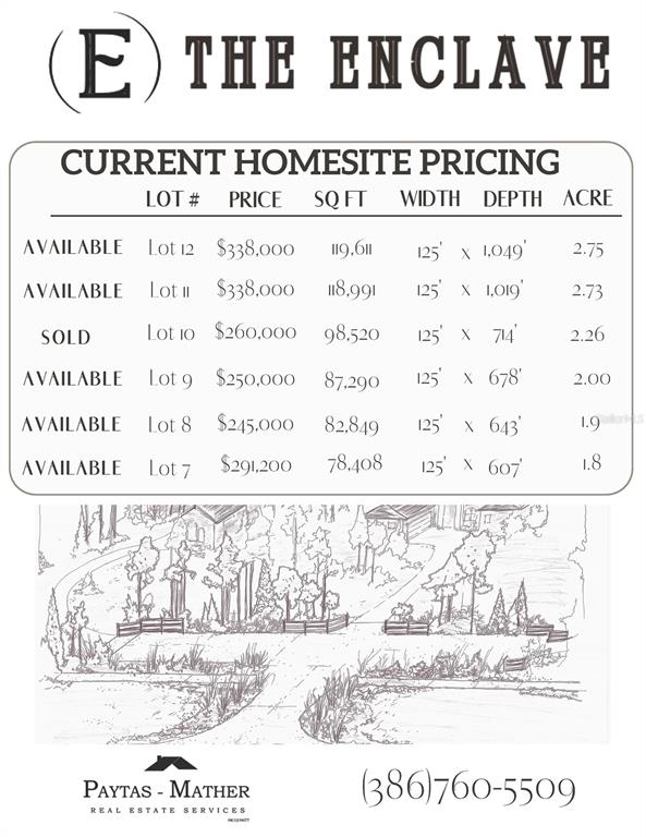 This image is a real estate rendering showing a table of lot pricing and availability — 471 N TYMBER CREEK, ORMOND BEACH, FLORIDA, FL