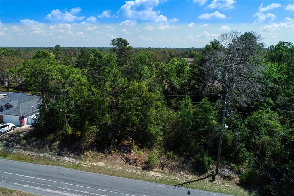 An aerial view shows a wooded, undeveloped lot situated next to a residential street — TOMAHAWK AVENUE, SPRING HILL, FL