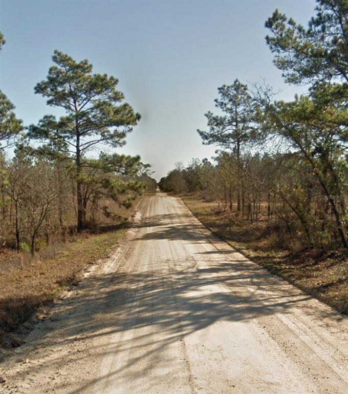 SE 23RD PLACE, MORRISTON, FL — photo 2 of 6