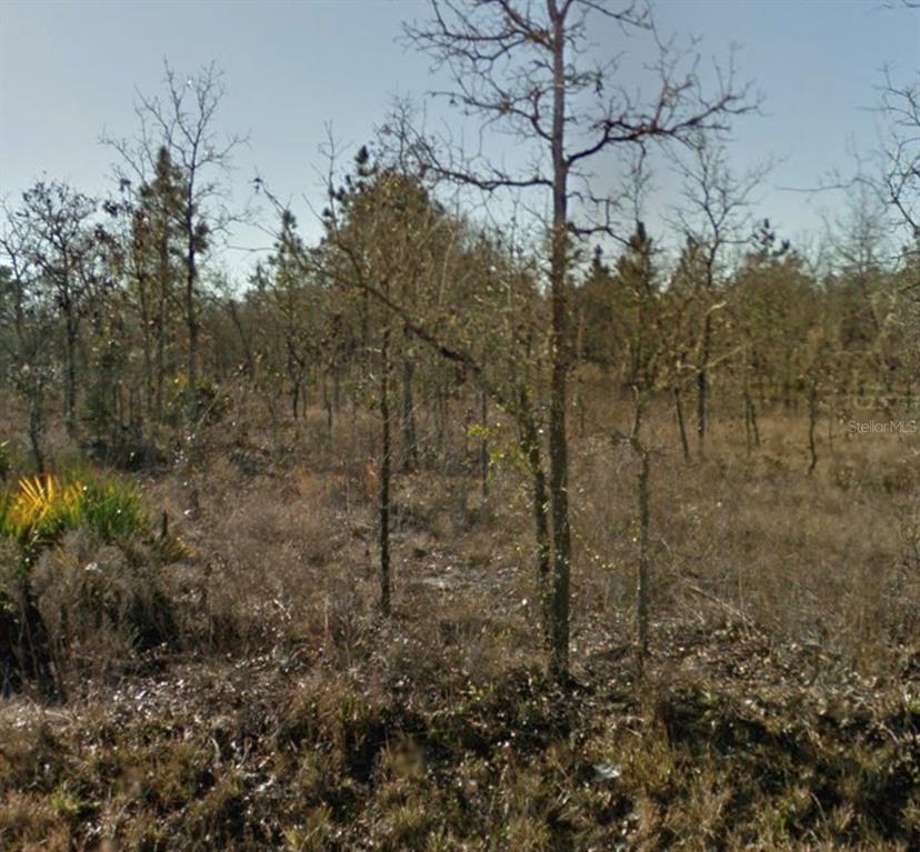 SE 23RD PLACE, MORRISTON, FL — photo 3 of 6