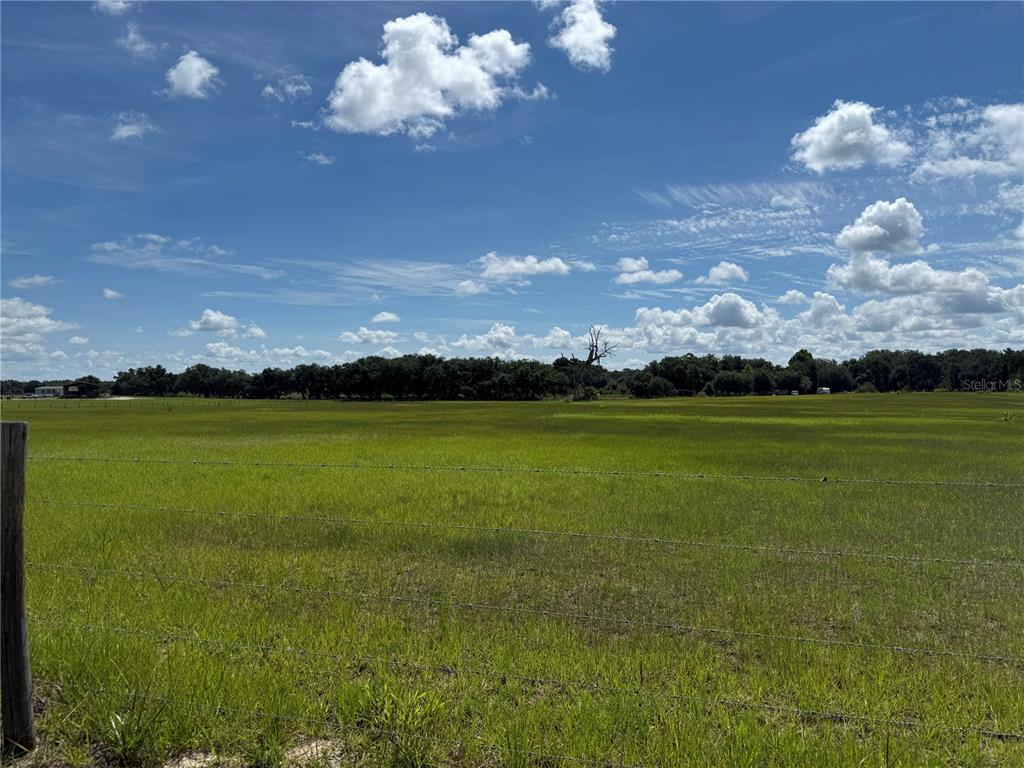A wide, grassy field is enclosed by a wire fence under a blue, cloudy sky — SW 60TH AVE, BUSHNELL, FL