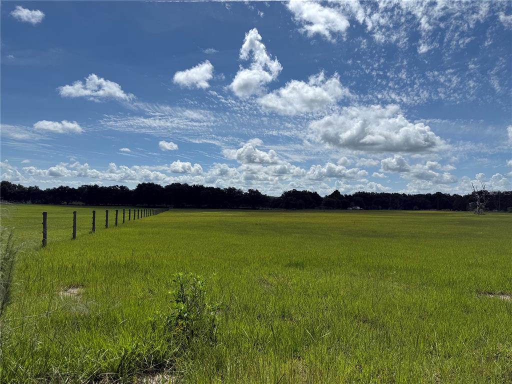 A vast, grassy field is bordered by a wire fence under a bright, cloudy sky — SW 60TH AVE, BUSHNELL, FL