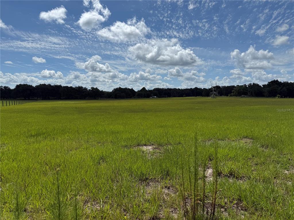A vast, open green pasture is bordered by a fence and a line of trees — SW 60TH AVE, BUSHNELL, FL